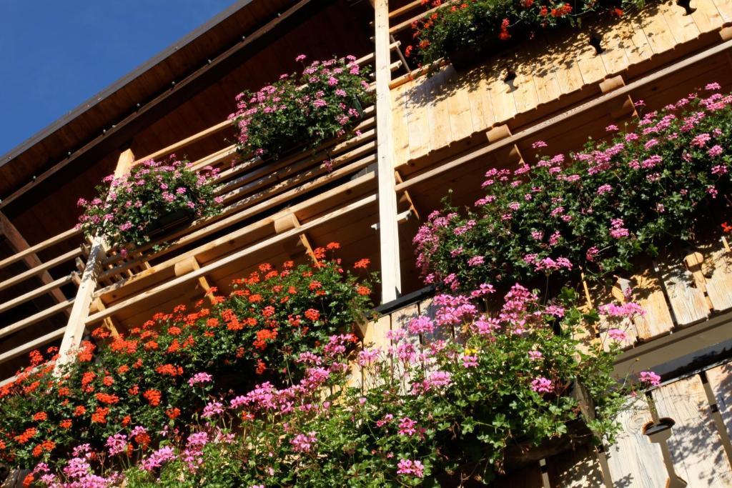 Albergo Centrale Forni di Sopra Ngoại thất bức ảnh